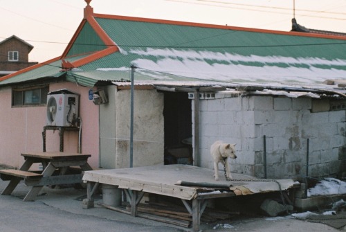 35mmnts:Gangneung, Korea | March, 2016