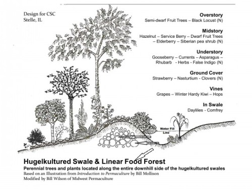 the-aspiring-maverick:  mojave-red:  saltrat88:  frederick-the-ii:  pinetreeanarchism:  thedevitoanditsown:   llleighsmith:  heartmurmuration:   llleighsmith: i told ya we’ve canceled discourse n we’ve moved on to homesteading skills it’s just choppin