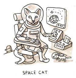chibirmingham:  Space cat