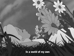The Relatable Images
