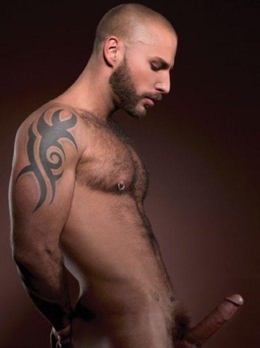 hairymacho:  http://hairymacho.tumblr.com/