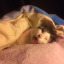 ilovekitties3