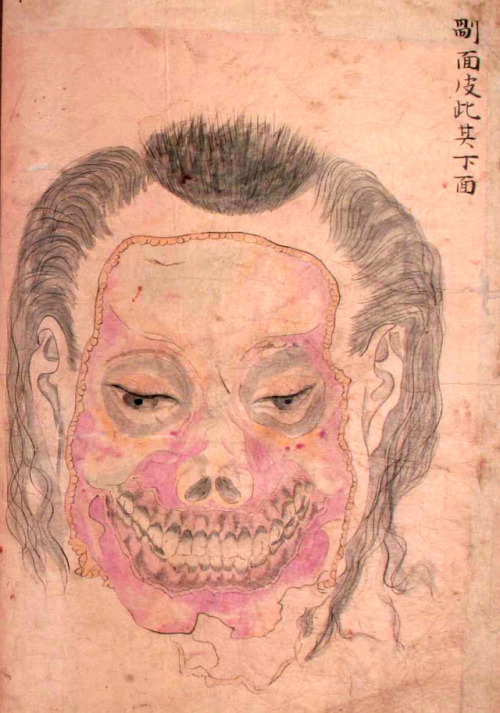 Seyakuin Kainan Taizōzu (circa 1798)These illustrations are from the book entitled Seyakuin Kainan T