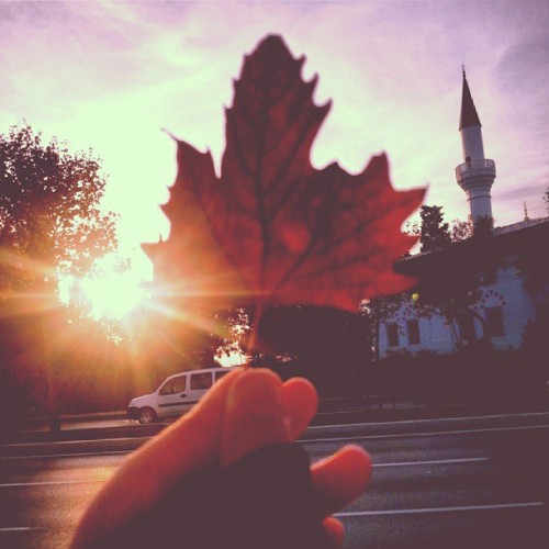 Maple sunset (shared w/ permission from @NurdamlaEfe) Like us on our Facebook page IleftmyheartinIst