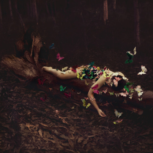 fer1972:Photography Ingrid Endel
