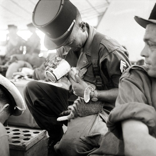 A French soldier taking a break to feed a kitten in Indochina, 1956