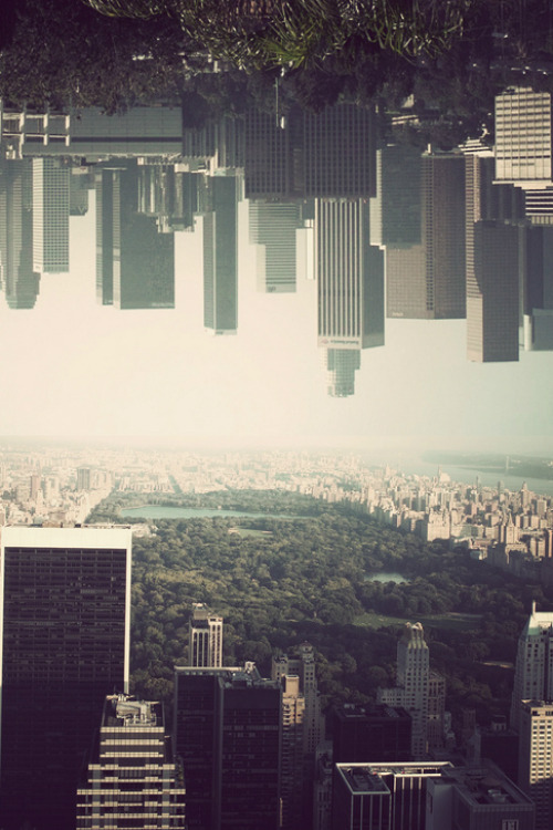 mystic-revelations:  NY state of mind vs LA state of mind By Anthony Samaniego