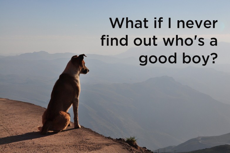 tastefullyoffensive:  Dog Shower Thoughts [distractify]Previously: Human Shower Thoughts