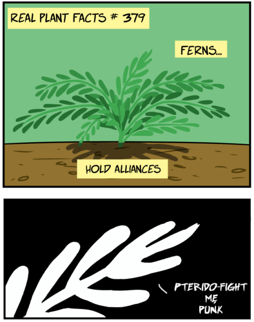 nonbinarystarcomics:Keep your fronds close but your enemies closer.For non-botanists, here’s the jok
