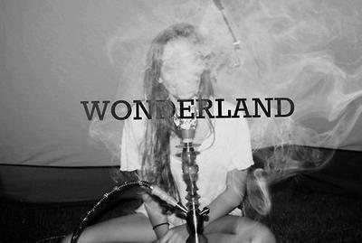 Dreamer