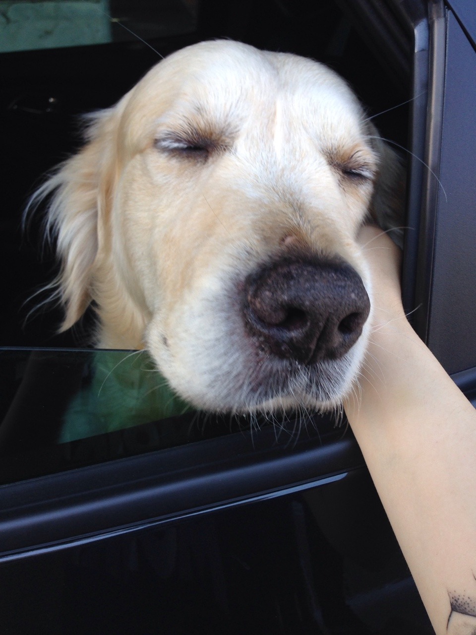 babelady:  this guy was really feelin it 