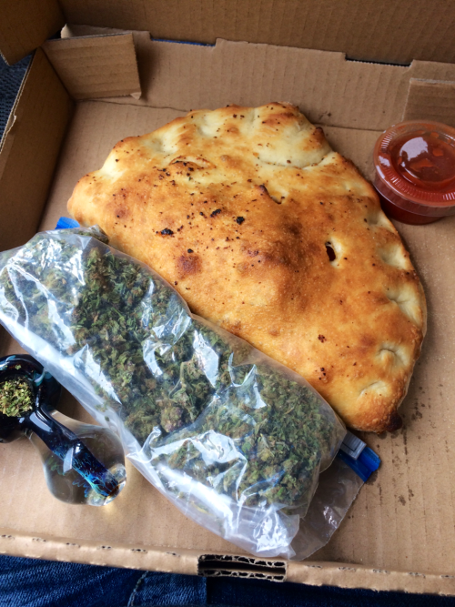 cantweall-justgetabong:  theelectrichippie:  Well, this is what’s on my agenda for the rest of the afternoon.   [insert Ben Wyatt gif about calzones]