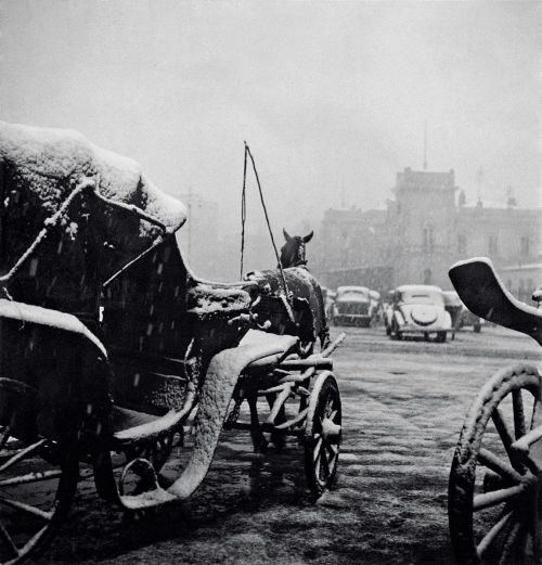 tytusjaneta: Branibor DebeljkovićPoslednji mohikanci, 1950