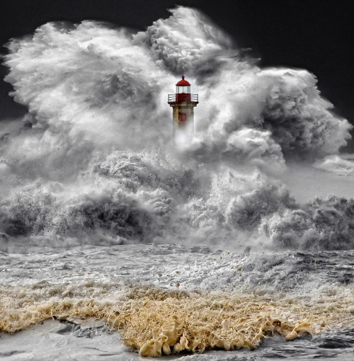 djferreira224:  Photographer Veselin Malinov captured this incredible shot of enormous waves along the coast of Portugal 
