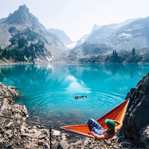 boredpanda:   “Camping With Dogs” Instagram Will Inspire You To Go Hiking With Your Dog