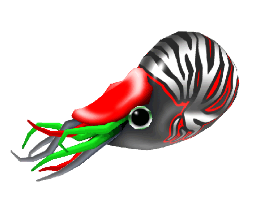 A stylized low poly nautilus. :v “Rendered” in maya this time.