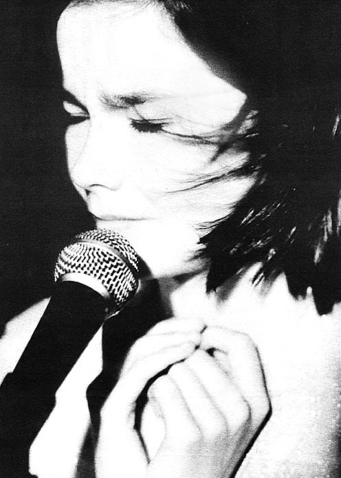bjork is harsh noise