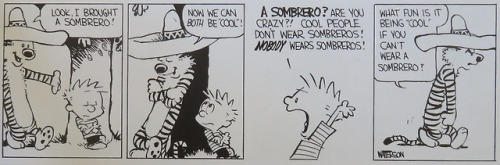 dailycalvinandhobbesenglish:(September 30, 1986)