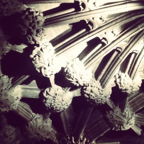 Giles Cathedral #wandering  #Edinburgh  #obsessedwithceilings  #gothic