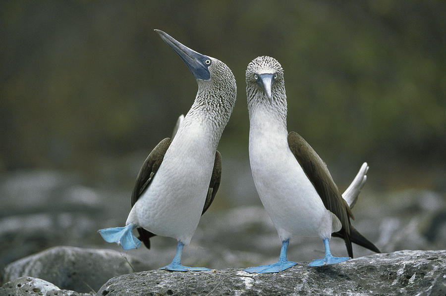 TITS!!!!!!!!