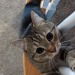 willabee:willabee:ALTpov she&rsquo;s about to get youALTPOV SHE&rsquo;S GETTING