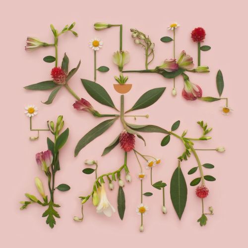 nae-design:Flower art by Kristen Meyer