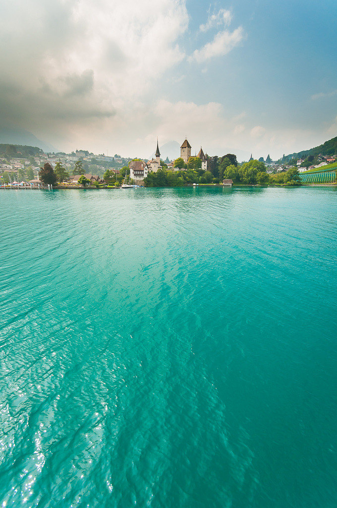 mistymorningme:  Spiez, Switzerland © billydorichards 
