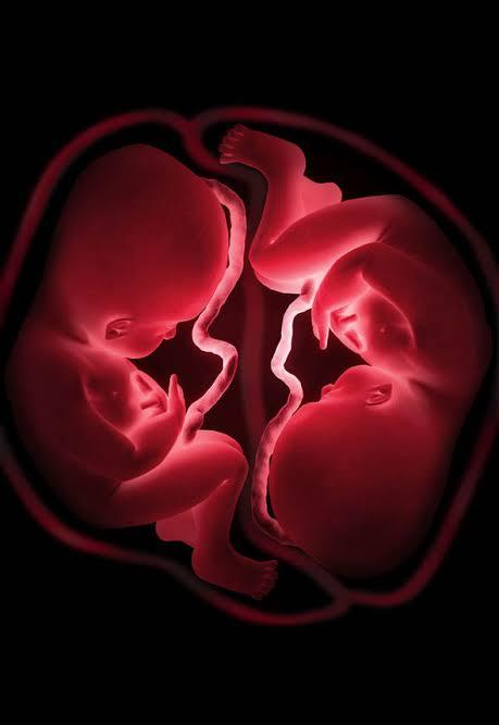 How Many Babies In Mama's Womb? 😳