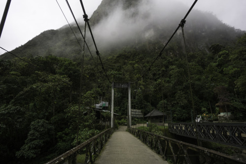 mpsouthamerica:  .on the way to Machu Picchu. Aguas Calientes, PERU