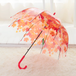 larimii: ♡   Transparent Leaves Umbrella