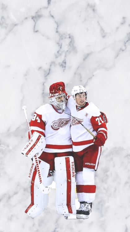 Detroit Red Wings + Marble