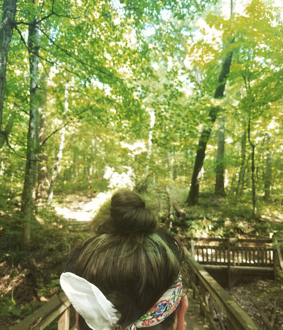 gang-vocals:  @kathyisweird matches the trees ♡