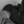 imnot-gustavvv: