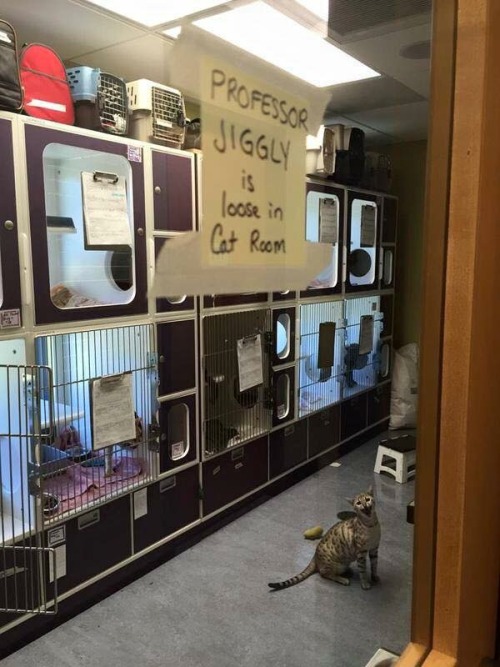 funnyimagesblog:  Funny Images http://ift.tt/1eaTLDp