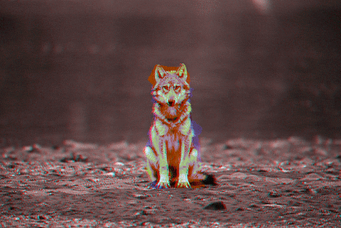 darionicchi:  Wolf