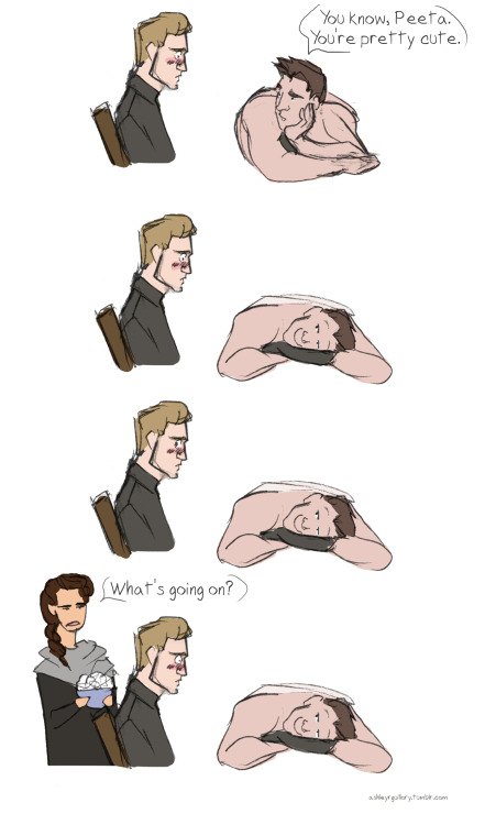 ashleyrguillory: Saw Catching Fire last night and I am 97% sure this is what happened when Katniss l