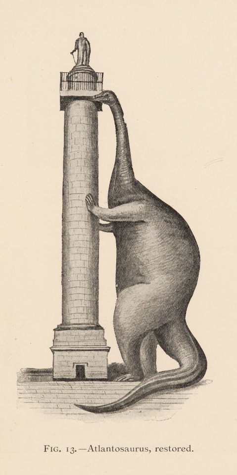 Fig. 13. Atlantosaurus, restored. A picture book of evolution. 1906. Internet Archive