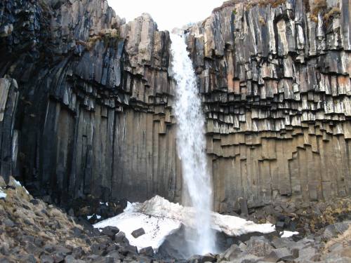 bacteriia:Svartifoss Waterfall, Skaftafell, Iceland