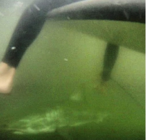 unexplained-events:Guy finds this picture on his GoPro after surfing