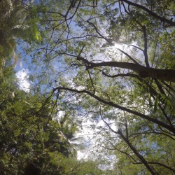 manfredalexander:  Luquillo Puerto Rico