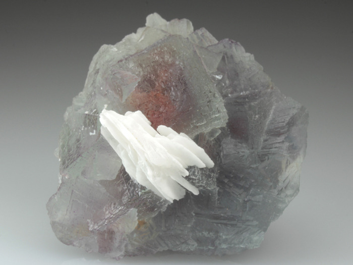 mineralists:  Beautiful specimen of Fluorite displaying a purple-pink phantom in