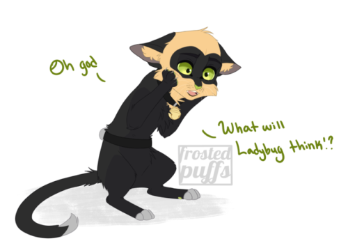 frostedpuffs:  Le Chat devient…le chat?i’ve been having a hard time drawing stuff lately due to time constraints and stress so i self indulged and drew chat noir as an actual cat. don’t know how it happened, but it was probably plagg’s fault—either