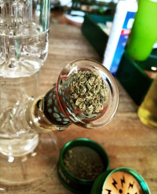http://blowmelikekushhh.tumblr.com/post/129346839339
