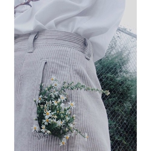 amandajas:  you will most likely(definitely) find me stuffing my pockets with flowers, #floralfeast 
