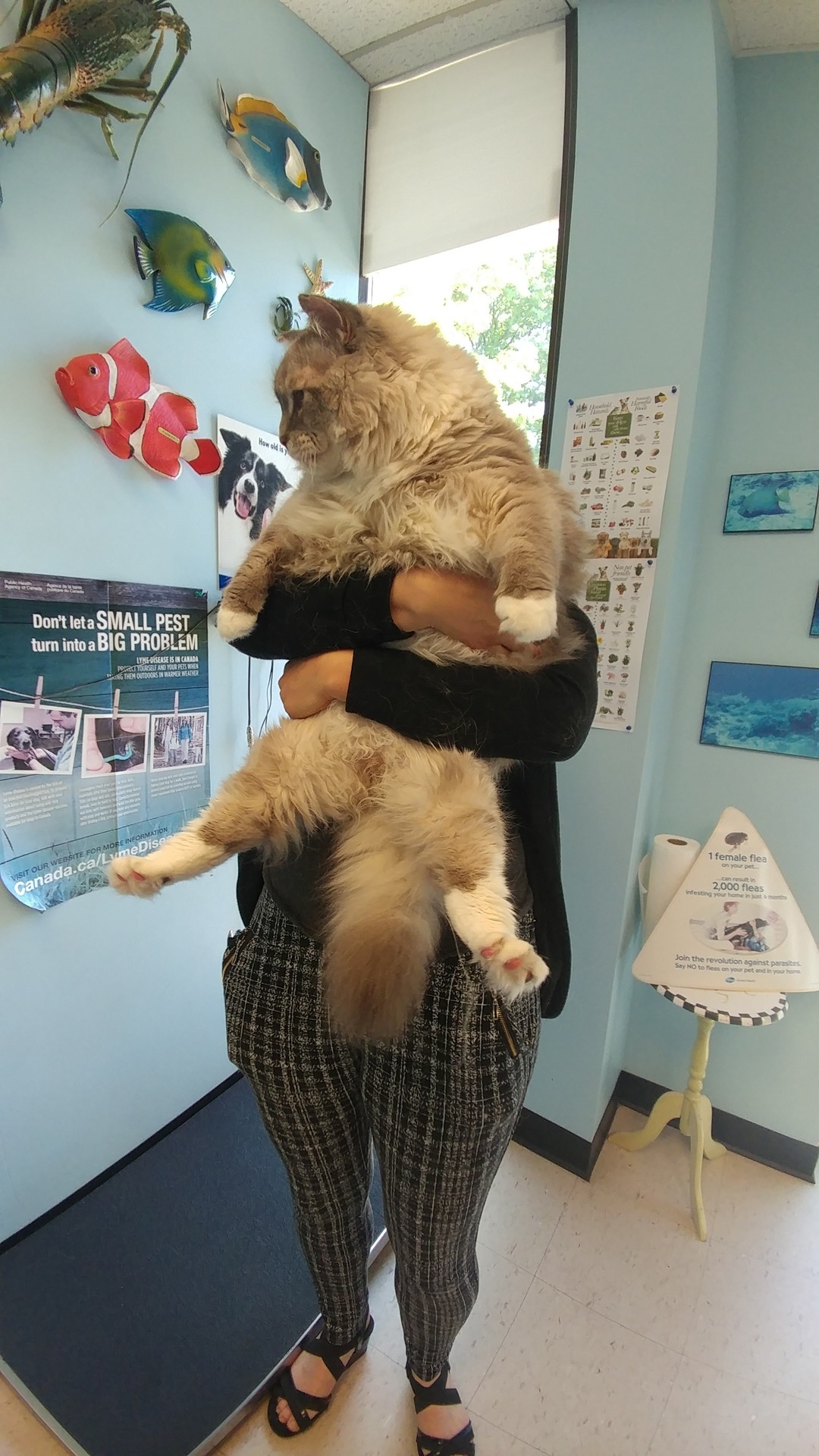 deanwinchesterstattoo:  This is Rex, one of the reasons I love my job. 28.2 pounds