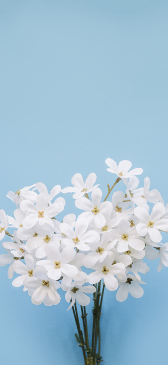 flowers lockscreens