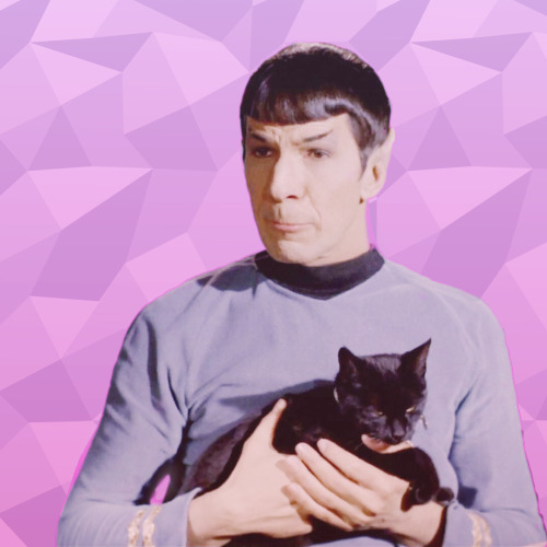 chubbycaptain: spock holds things and looks cute