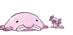 micaxiii:  micaxiii: Squishy got a new friend.Their