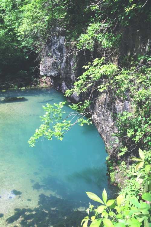 scent-of-pine: Natural spring in Ha Ha Tonka State Park, Lake of the Ozarks