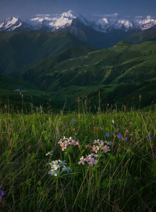 landscape-lunacy:Mountains in Chechen Republic, Russia - by Abdullah Bersaev